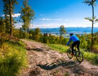 Haltung bewahren: Die 7 besten Fahrtechniktipps für Mountainbiker
