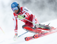 Made in Austria: ein Special über Vorreiter in Rot-Weiß-Rot