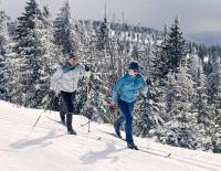 Skating vs. Klassik: So gelingt der Einstieg in die Loipe