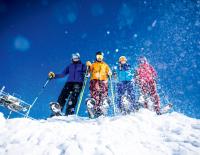 Die Suche nach dem Ski: So findet man das Pisten-Skimodell, das zu einem passt