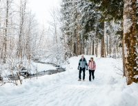 Mit Wanderschuh und Schneeschuh: Wie das Winterwandern gelingt