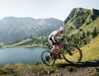 Kompromisslos und doch vielseitig: aktuelle Crosscountry-Mountainbikes