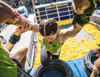 Nur nicht hängen lassen: Obstacle und Dirt Runs sind die Spaßmacher unter den Laufevents