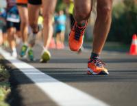 SPORTaktiv-Pacemaker für den WACHAUmarathon 2022 gesucht!