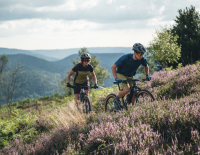 Downcountry-/Tourenbikes: überall zu Hause