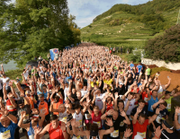 © Fotograf / Viertelmarathon Start (c)fairplayfoto.net/mk 23. Int. WACHAUmarathon: Es wird wieder schnell