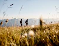 Wandern in Mittersill-Hollersbach-Stuhlfelden: Mit Blick auf den Nationalpark Hohe Tauern