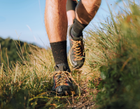 Lowcut-Wanderschuhe: Für den flotten Schritt