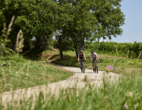 © Fotograf / Niederösterreich Werbung / Stefan Mayerhofer / Hügel, Buckel, Wein und echte Berge – Graveln in Niederösterreich bleibt stets abwechslungsreich. Niederösterreich: Graveln in allen Farben