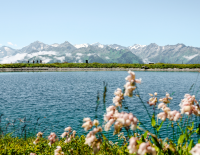 © Tourismusregion / Ferienregion Nationalpark Hohe Tauern Am Puls der Natur: Sommererlebnis im Nationalpark Hohe Tauern