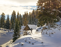 Top 20 Winteralternativen 2022