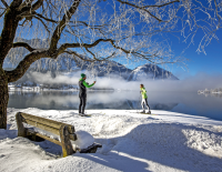 Top 20 Langlauf-Regionen 2022