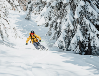 Top 20 Freeridegebiete 2022