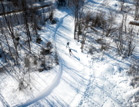 Urlaub in der Spur: Was Urlaubsgäste in Langlauf-Regionen erwarten können