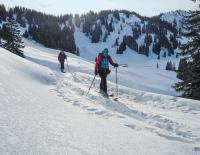 Naturverträglich auf Skitour