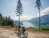 Top 20 Mountainbike-Touren bis 1.000 Höhenmeter 2023