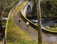 Trends auf der Spur: Was 2023 den Laufschuh-Markt bewegt