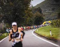 24. Internationaler WACHAUmarathon 2023