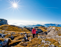 Frühlingsboten genießen: Was es über Wandertouren in der frühen Saisonphase zu wissen gilt