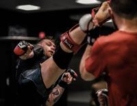 Mixed Martial Arts - Der Hype um den Profisport