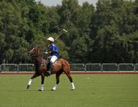 © Fotograf / Pixabay / MonicaVolpin Die teuersten Sport-Aktivitäten der Welt