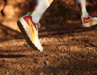 Salomon: Für jedes Gelände den passenden Trailrunning-Schuh