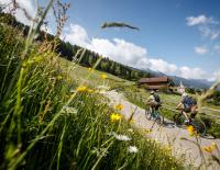 © Fotograf / Naturnser Alm / Bikeboard / Erwin Haiden / Eine schöne Hütten-Tour ist die „Naturnser-Alm- Tour Light“ im unteren Vintschgau in Südtirol. Top 20 MTB-Hüttentouren 2023
