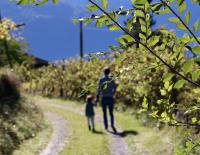 Ein aktives Familienleben