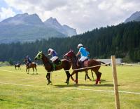 Das Poloshirt – ein kultiger Begleiter beim Sport und in der Freizeit