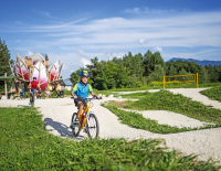 Magische Zeit am Bike: Wie Familien-Radtouren Kinder begeistern