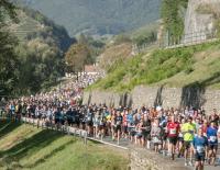 Hochsommerliches Lauffest: Das war der 24. Internationale WACHAUmarathon!