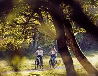 Freizeit-Biker: E-Trekkingbikes - die praktischen Allrounder unter den E-Bikes