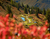 Kurze Tage, lange Schatten: Experten-Tipps und Ratschläge für gelungene herbstliche Bike-Touren