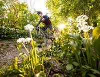 Fit für den Frühling: Wie man sein Bike vor den ersten Touren der Saison aus dem Winterschlaf holt