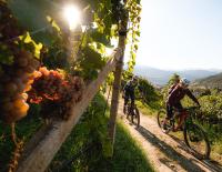 Sehnsucht Herbst: Jetzt ist Südtirol am lohnendsten