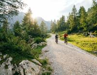 Top 20 MTB-Touren im Frühjahr 2024