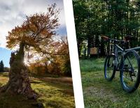 Erst Bike, dann Hike: Outdoor pur bei der Hochschachten-Tour im ARBERLAND
