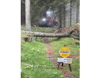 Forstinfotag klärt über Gefahren im Wald für Mountainbiker auf