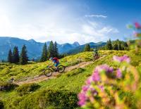 Schritt in Richtung Oberliga: Tipps und Tricks für Könner zum Abfahren auf Trails