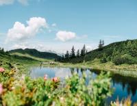 2004 bis 2024: 20 Jahre „Salzburger Almsommer“