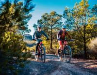 Feine Zeiten: Was moderne Mountain­bikes- und E-Mountain­bikes auszeichnet