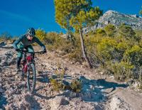 Kette recht: Alles was du über XC/DC-Bikes wissen musst