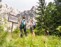 Top 20 Nachhaltige Initiativen 2024