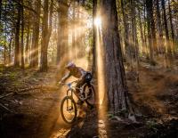 Schmetterling und Biene: Warum diese Stichwörter auch zu Enduros passen