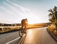 Fit mit Sumi: Panik am Seitenstreifen