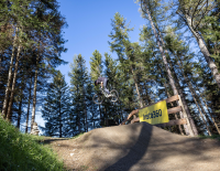 Teileröffnung der Teichtrails bei den Wexl Trails eröffnet Mountainbikern neue Möglichkeiten