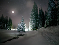 Top 20 Winteralternativen 2024