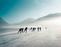 Top 20 Winteralternativen 2024