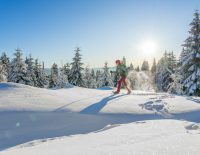 6. Deutscher Winterwandertag im Herzen des Bayerischen Waldes