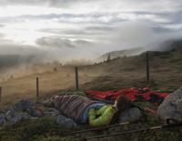 Unter freiem Himmel: Was einen guten Schlafsack ausmacht